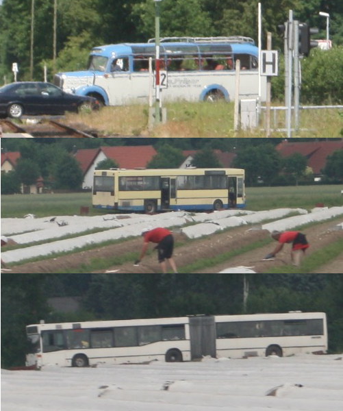 www.hpke.de/busforum/spargel1.jpg